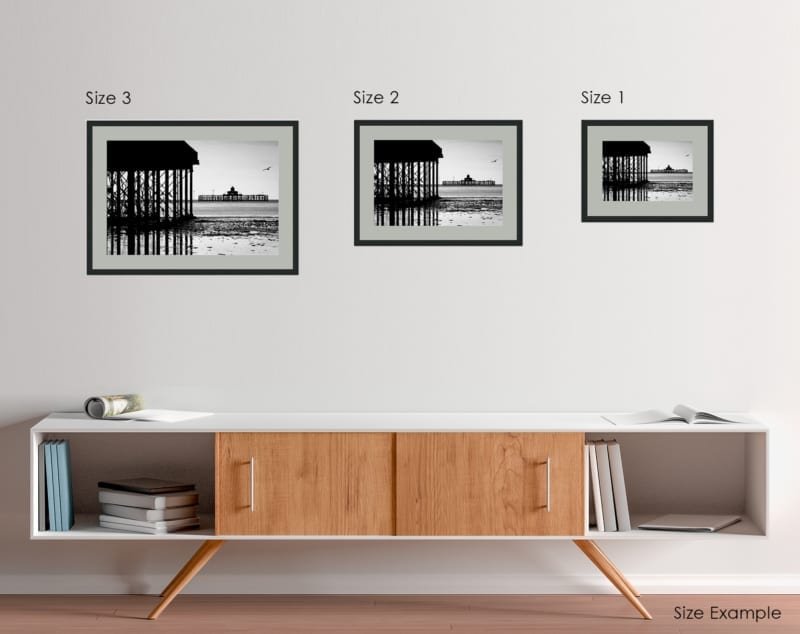 photographic art framed premium prints